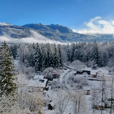 Dachstein View Apartament Bad Goisern