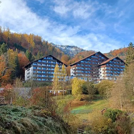 Dachstein View * Bad Goisern