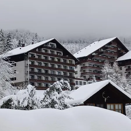Dachstein View * Bad Goisern