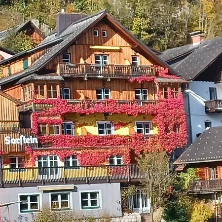 Lejlighed Dachstein View