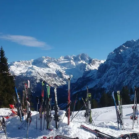 Dachstein View Apartment