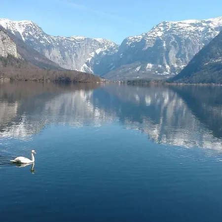 Dachstein View Apartment Bad Goisern